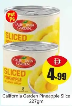 Amber California garden pineapple slice offer