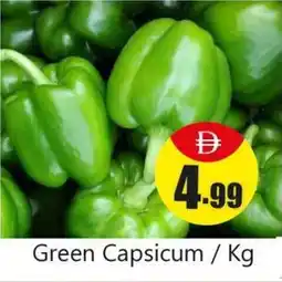 Amber Green Capsicum offer