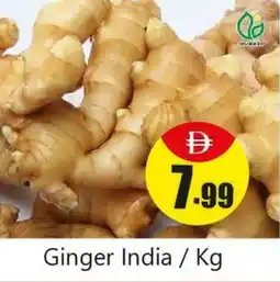 Amber Ginger India offer