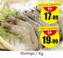 Amber Shrimps offer