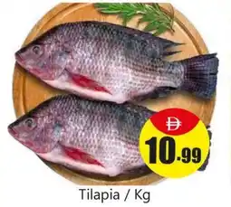 Amber Tilapia offer