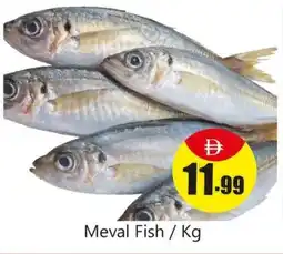 Amber Meval Fish offer