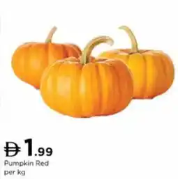 Nesto Pumpkin Red offer