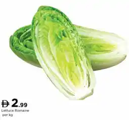 Nesto Lettuce Romaine offer