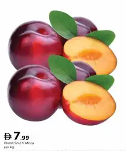 Nesto Plums South Africa offer