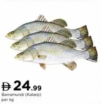 Nesto Barramundi Kalanji offer