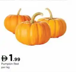 Nesto Pumpkin Red offer