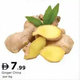 Nesto Ginger China offer