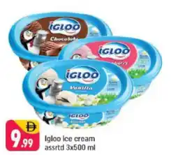 Shaklan Igloo ice cream offer