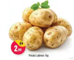 Shaklan Potato Lebnon offer
