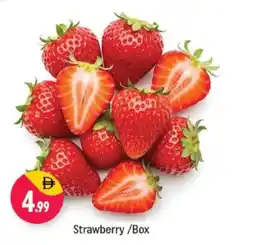 Shaklan Strawberry offer