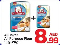 Day To Day Al baker all purpose flour offer
