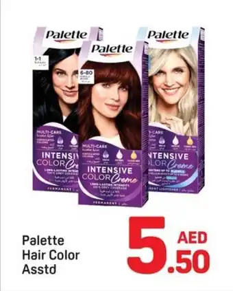 Day To Day Palette hair color offer