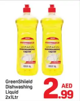 Day To Day Greenshiield dishwashing liquid offer