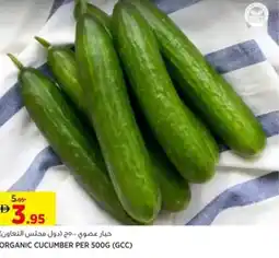 Aswaaq Organic cucumber offer