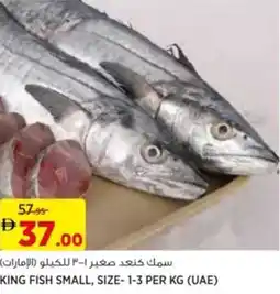 Aswaaq King fish small offer