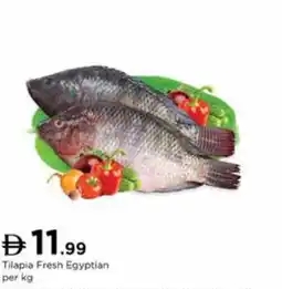 Nesto Tilapia Fresh Egyptian offer