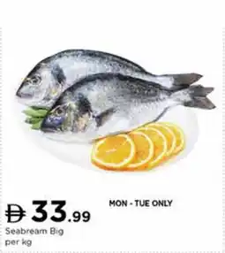 Nesto Seabream Big offer