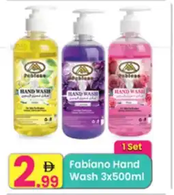 Everyday Center Fabiano Hand Wash offer
