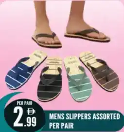 Dream Land Center Mens slippers offer