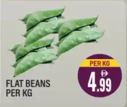 Dream Land Center Flat beans offer