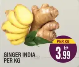 Dream Land Center Ginger india offer