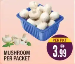 Dream Land Center Mushroom offer
