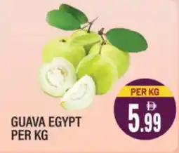 Dream Land Center Guava egypt offer