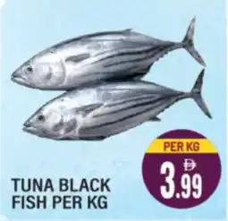 Dream Land Center Tuna black fish offer