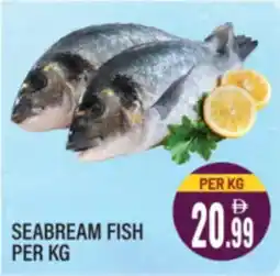 Dream Land Center Seabream fish offer