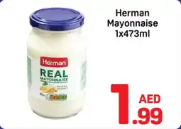 Day To Day Herman mayonnaise offer