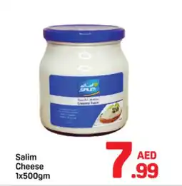 Day To Day Salim Cheese offer