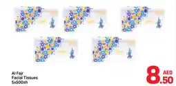 Day To Day Al Fajr Facial Tissues offer