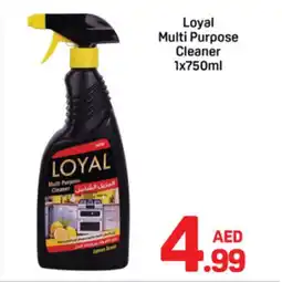 Day To Day Loyal multi purpose cleaner offer