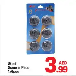 Day To Day Steel scourer pads offer