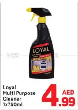 Day To Day Loyal multi purpose cleaner offer