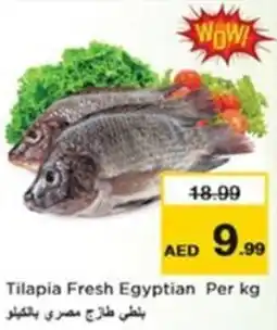 Nesto Tilapia Fresh Egyptian offer