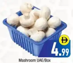 Bluemart Mashroom offer