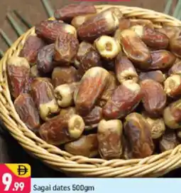 Shaklan Sagai dates offer