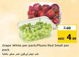 Nesto Grape White / Plums Red Small offer
