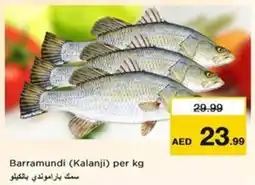 Nesto Barramundi Kalanji offer