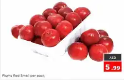 Nesto Plums Red Small offer