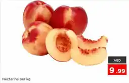 Nesto Nectarine offer