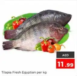Nesto Tilapia Fresh Egyptian offer