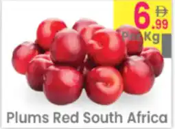 Everyday Center Plums Red South Africa offer