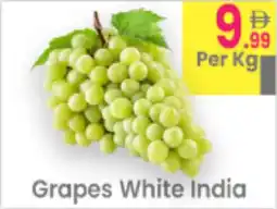 Everyday Center Grapes White India offer