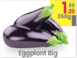Everyday Center Eggplant Big offer