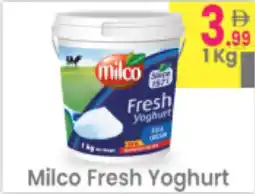 Everyday Center Milco Fresh Yoghurt offer