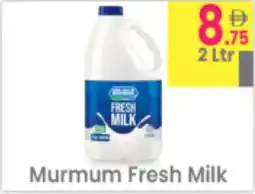 Everyday Center Murmum Fresh Milk offer