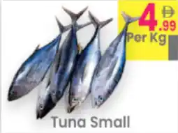 Everyday Center Tuna Small offer